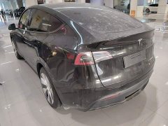 Tesla Model Y Rear-Wheel Drive - ფოტო 4