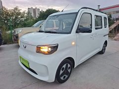 Wuling Zhiguang New Energy 201km Comfort - ფოტო 1