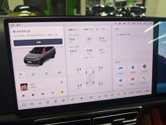 Li Auto L7 Pro - ფოტო 11