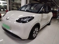 Wuling Binguo 2023 333km Joy Edition - ფოტო 1