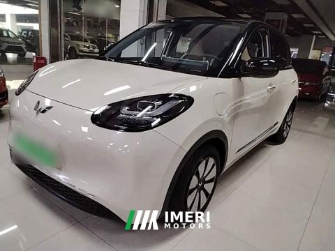2024 Wuling Binguo 333km Joy Edition