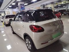 Wuling Binguo 2023 333km Joy Edition - ფოტო 4