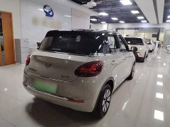 Wuling Binguo 2023 333km Joy Edition - ფოტო 6