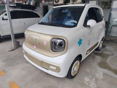 FAW Besturn Xiaoma 170km Vitality Edition - ფოტო 1