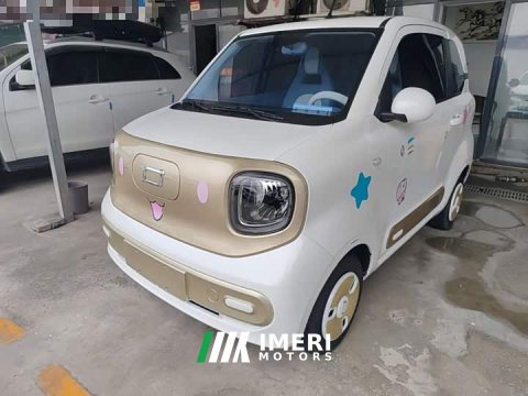 2024 FAW Besturn Xiaoma 170km Vitality Edition - ავტომობილი ჩინეთიდან