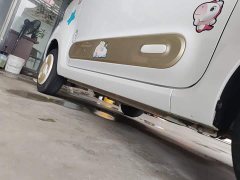 FAW Besturn Xiaoma 170km Vitality Edition - ფოტო 20