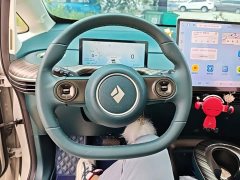 Baojun Yunduo 2023 460 Max - ფოტო 10