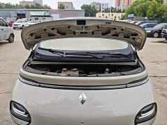 Baojun Yunduo 2023 460 Max - ფოტო 19
