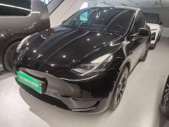 Tesla Model Y Rear-Wheel Drive - ფოტო 1