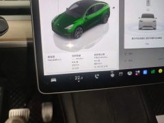 Tesla Model Y Rear-Wheel Drive - ფოტო 11