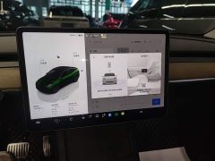 Tesla Model Y Rear-Wheel Drive - ფოტო 12