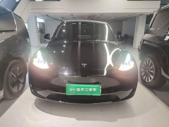 Tesla Model Y Rear-Wheel Drive - ფოტო 2