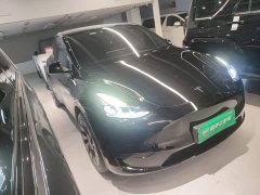 Tesla Model Y Rear-Wheel Drive - ფოტო 3