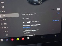 Tesla Model Y Rear-Wheel Drive - ფოტო 11