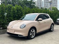 ORA Good Cat 401km Standard Range Luxury LFP - ფოტო 1