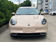 ORA Good Cat 401km Standard Range Luxury LFP - ფოტო 2