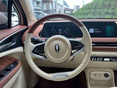 ORA Good Cat 401km Standard Range Luxury LFP - ფოტო 7