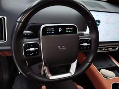 Li Auto L9 2022 Max - ფოტო 10