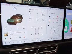 Li Auto L9 2022 Max - ფოტო 11