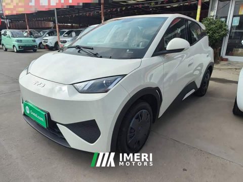 2026 BYD Seagull 2025 Smart Drive 305km Vitality Edition - ავტომობილი ჩინეთიდან