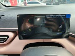 BYD Seagull 2025 Smart Drive 305km Vitality Edition - ფოტო 11