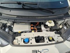 BYD Seagull 2025 Smart Drive 305km Vitality Edition - ფოტო 19
