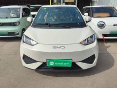 BYD Seagull 2025 Smart Drive 305km Vitality Edition - ფოტო 2
