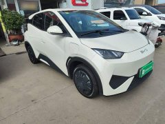 BYD Seagull 2025 Smart Drive 305km Vitality Edition - ფოტო 3