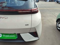 BYD Seagull 2025 Smart Drive 305km Vitality Edition - ფოტო 7