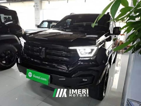 2024 Tank 400 New Energy Hi4-T Off-Road Edition - ავტომობილი ჩინეთიდან