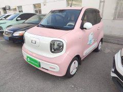 FAW Besturn Xiaoma 170km Vitality Edition - ფოტო 1