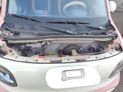 FAW Besturn Xiaoma 170km Vitality Edition - ფოტო 19