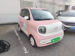FAW Besturn Xiaoma 170km Vitality Edition - ფოტო 3