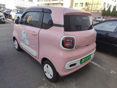 FAW Besturn Xiaoma 170km Vitality Edition - ფოტო 4
