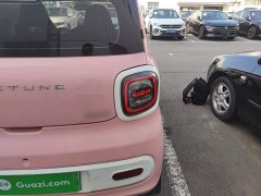 FAW Besturn Xiaoma 170km Vitality Edition - ფოტო 7