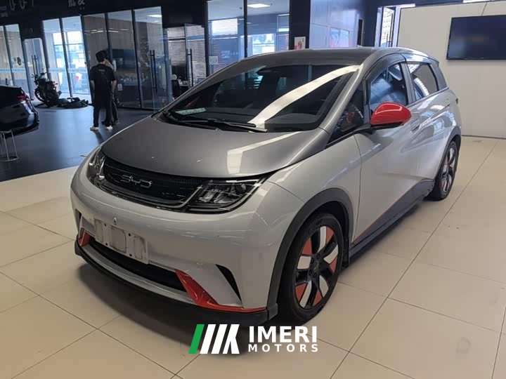 BYD Dolphin 401km Knight Edition - ავტომობილი ჩინეთიდან