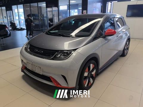 2023 BYD Dolphin 401km Knight Edition - ავტომობილი ჩინეთიდან