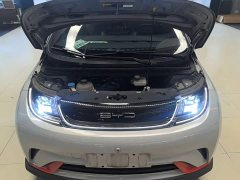 BYD Dolphin 401km Knight Edition - ფოტო 19