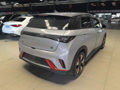 BYD Dolphin 401km Knight Edition - ფოტო 6