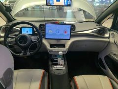 BYD Dolphin 401km Knight Edition - ფოტო 9