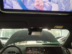 Li Auto L9 Ultra - ფოტო 17