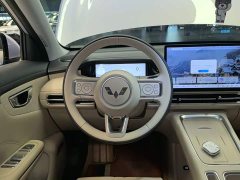 Wuling Bingo S 430km Flagship - ფოტო 10