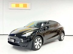 Tesla Model Y Rear-Wheel Drive - ფოტო 1
