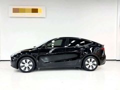 Tesla Model Y Rear-Wheel Drive - ფოტო 12