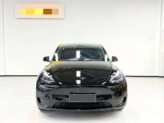 Tesla Model Y Rear-Wheel Drive - ფოტო 2