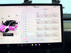 Tesla Model Y Rear-Wheel Drive - ფოტო 6