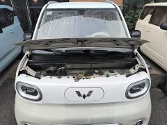 Wuling Hongguang MINIEV Third Generation 215km Advanced Edition - ფოტო 19