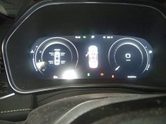 Geely Xingrui 2.0T Diesel Spacetime Edition Starlight - ფოტო 3