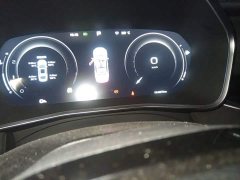 Geely Xingrui 2.0T Diesel Spacetime Edition Starlight - ფოტო 4