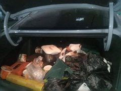Geely Xingrui 2.0T Diesel Spacetime Edition Starlight - ფოტო 9